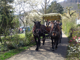 Kutschfahrt durch das Neckartal